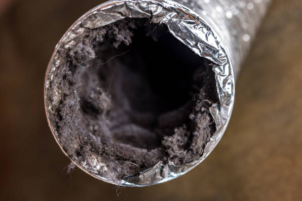 Best Emergency Air Duct Cleaning  in Bentleyville, PA